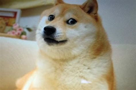 So will dogecoin attain $1? Why Crypto Experts Can't See Dogecoin Hitting $1 Despite ...
