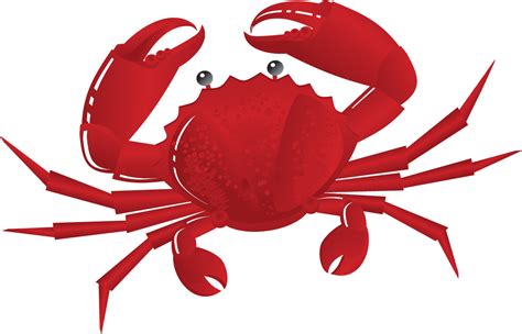 Crabs Crab Clipart Free Clip Art Images Image 12831