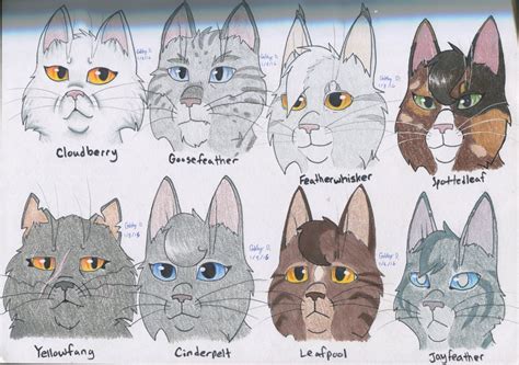 Thunderclan Medicine Cats By Gabbycat17 On Deviantart