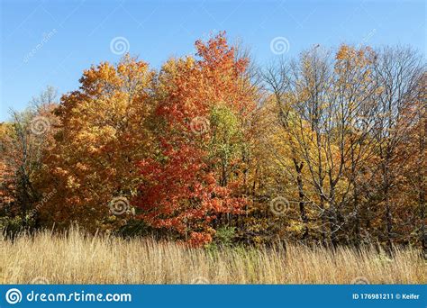 Autumn Scene In Indiana Fort Harrison State Park Stock Image Image