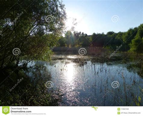 Sunlight Reflecting On The Surface Of A Lake Surrounded By Trees Stock