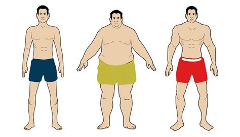 Know Your Body Type To Lose Weight Or Gain Mass More Effectively