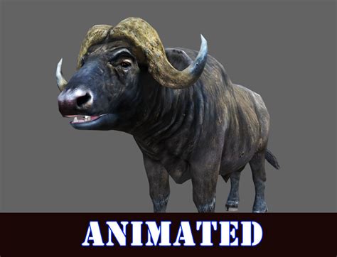 Buffalo 3d Model Animated Game Ready Animated Cgtrader