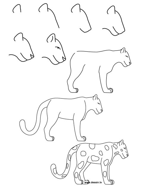 Easy Pictures Of Animals To Draw Step By Step Img Stache