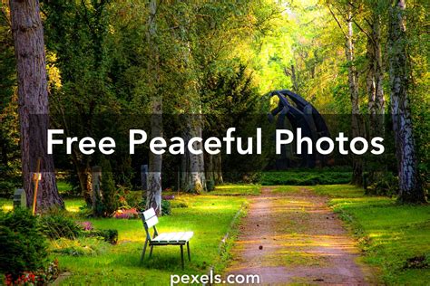 1000 Beautiful Peaceful Photos Pexels · Free Stock Photos