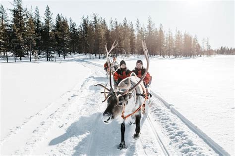 The Ultimate Lapland Travel Guide How To Travel And What To Do In