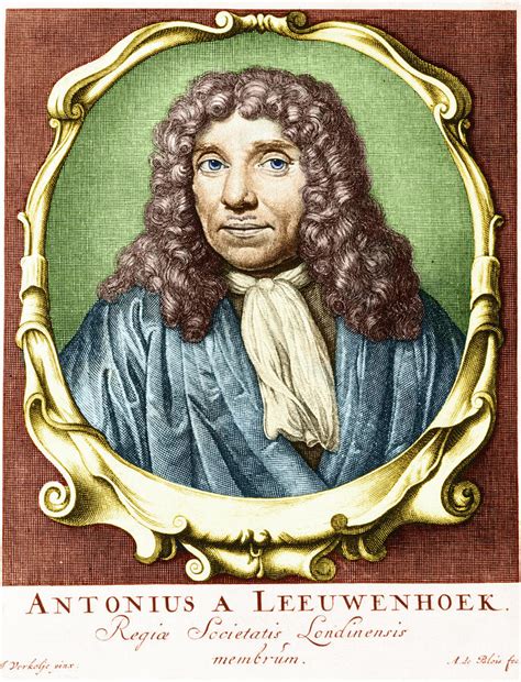 Anton Van Leeuwenhoek Photograph By Biophoto Associates Pixels