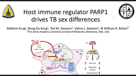Short Talk Host Immune Regulator Parp1 Drives Tb Sex Differences