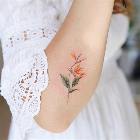 Bird Of Paradise Flower Tattoo By Vanetattoo Bird Of Paradise