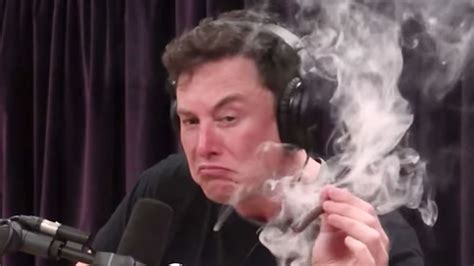 Elon Musk May Have Violated Tesla Conduct Policy By Smoking Weed