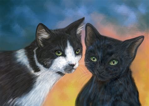 Cute Kittens Kittens Fan Art 16155348 Fanpop