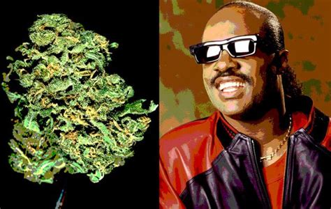 Stevie Wonder Eschewed Cannabis At A Young Age