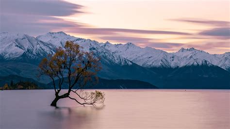 New Zealand Winter Wallpapers Top Free New Zealand Winter Backgrounds