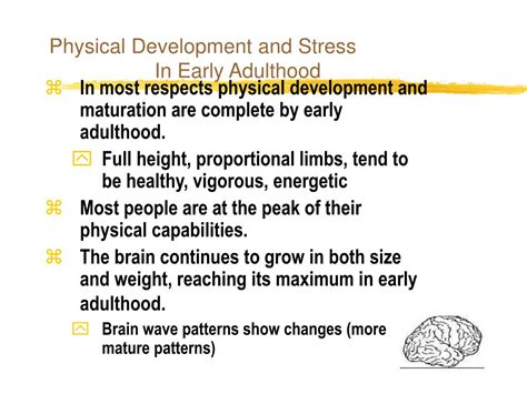 Ppt Chapter 13 Early Adulthood Physical And Cognitive Development