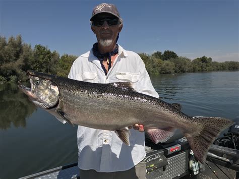 2019 Sacramento River King Salmon Fishing — Jeff Goodwin Fishing