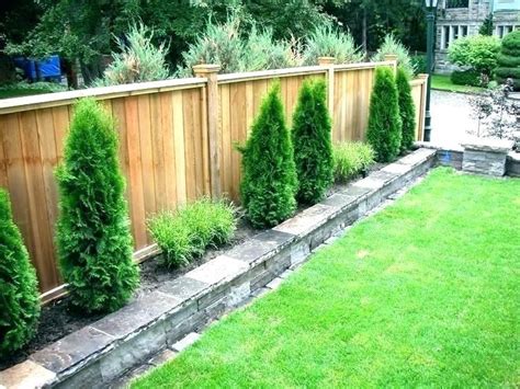 Backyard Fence Line Trees Pic Fidgety
