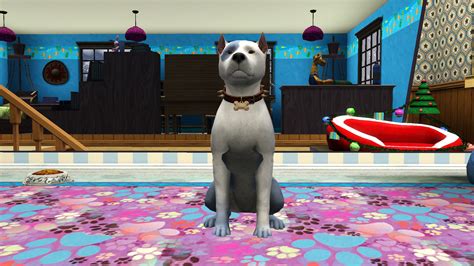 Mod The Sims Blue And White American Pit Bull