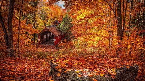 Autumn Foliage Wallpapers Wallpaper Cave