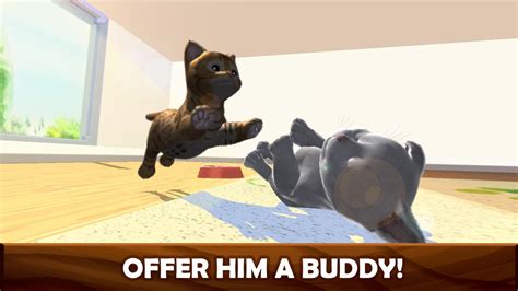Daily Kitten Apk For Android Download