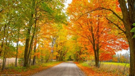 Plan An Adventure Wisconsins Fall Color Report Returns 🍁