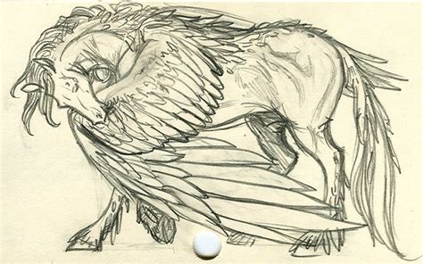 Preening Pegasus By Artistmeli On Deviantart Horse Art Drawing Horse