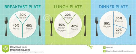 Breakfast should be 400 calories, lunch and dinner 600 each, with the remaining calories made up of snacks and drinks. Healthy Eating Plate Diagram Stock Vector - Illustration ...