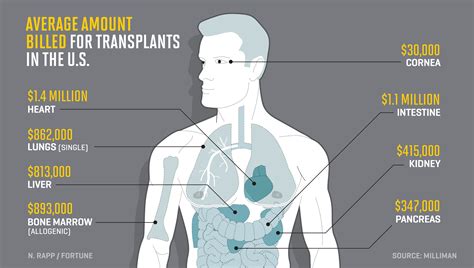 Pin By Instiks On Health Body Organs Organ Transplant Transplant