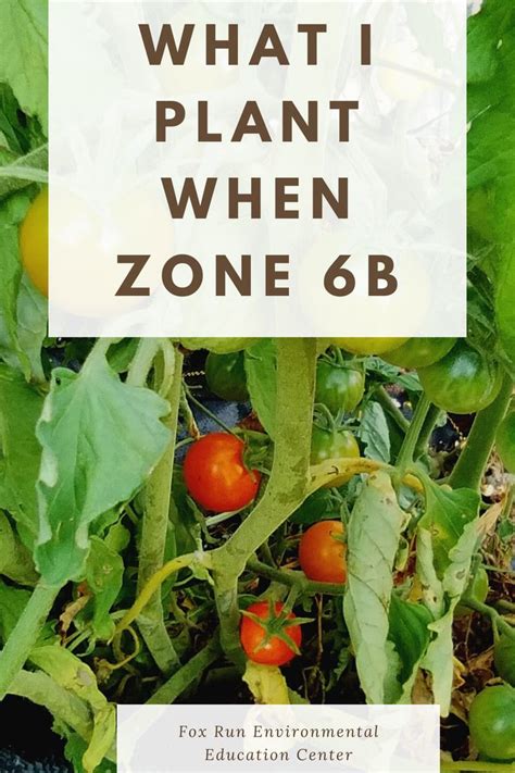 10 Where Is Zone 6 For Gardening References