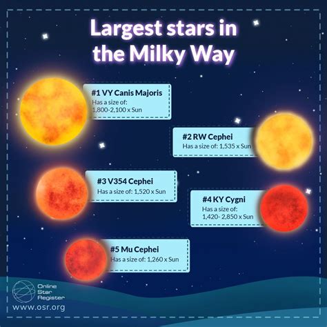 Biggest Stars In The Milky Way Galaxy