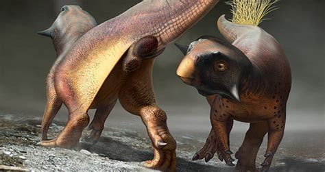 100 Million Year Old Fossil Reveals How Dinosaurs May Have Mated