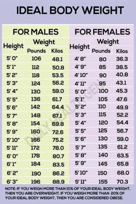 Weight Chart For Women Body Types Ideas Ideal Body Weight Ideal