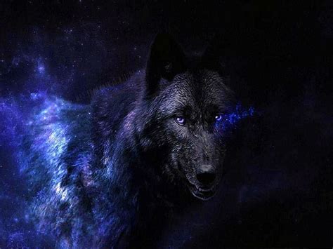 Black Wolves With Blue Eyes Wallpapers Wolf Wallpaperspro Wolf