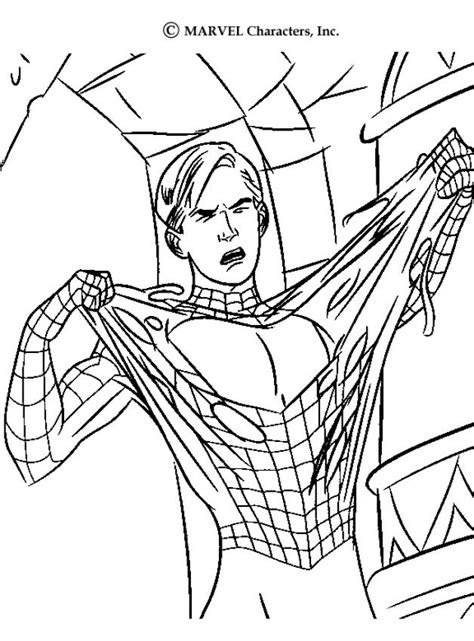 Colorear el hombre araña.