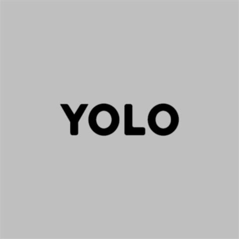 Yolo Icon Icon Yolo Logo