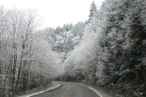 The One Tennessee National Park That Will Transform Into A Winter