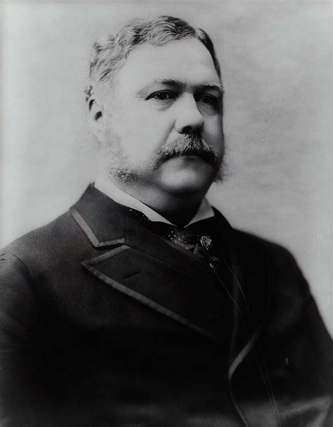 Human President Chester A Arthur Black And White Image Free Photo