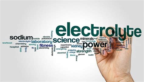 What Is The Role Of Electrolytes In The Human Body Steelfit Usa