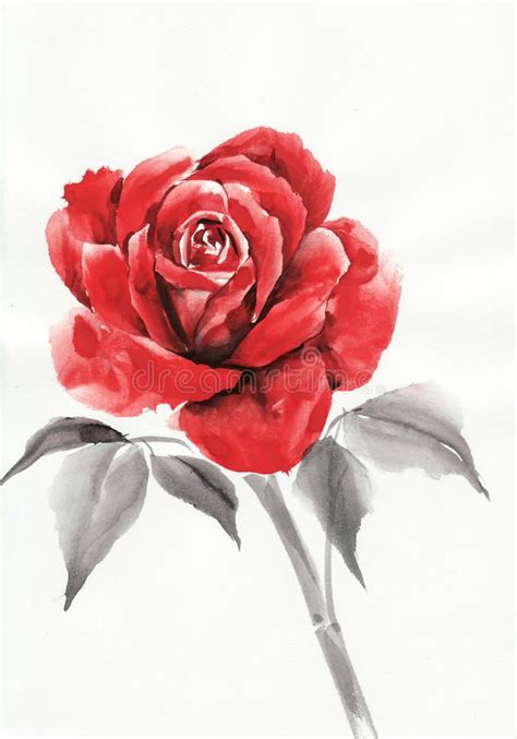 Red Rose Watercolor Painting Red Rose Flower Original Watercolor