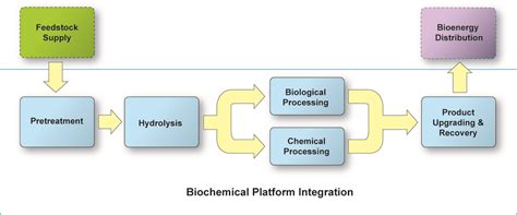 Biochemical Conversion Biomass Energy