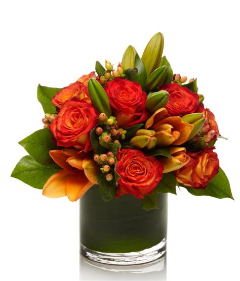 Modular test 8 b (un. The Coral Rose Bouquet at From You Flowers
