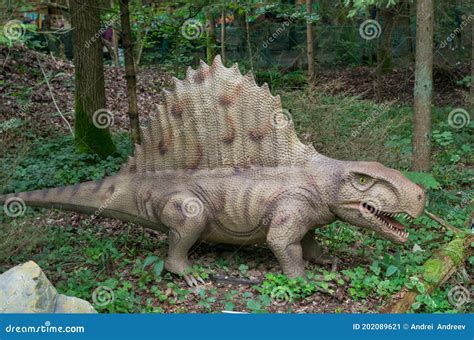 Modelo De Dimetrodon De Dinosaurio De Genus Nonmammalian Sinapsids Parado En Cuatro Patas Sobre