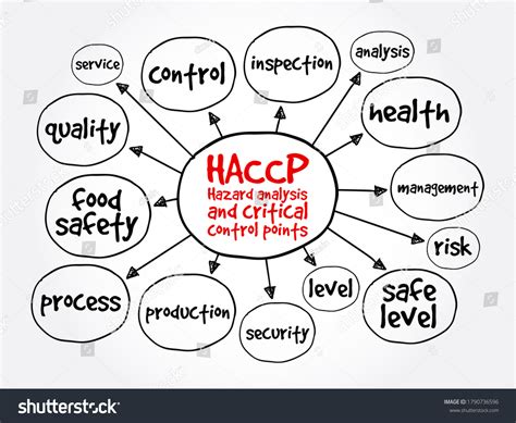 Haccp Hazard Analysis Critical Control Points Stock Illustration