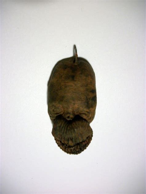Original Big Lip Mummified Voodoo Shrunken Head Tribal African Etsy