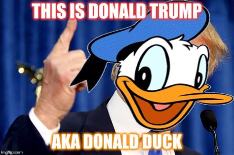 Donald Duck Trump Imgflip