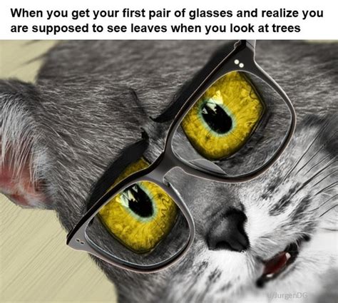 Meow Meme By Schizoidman Memedroid