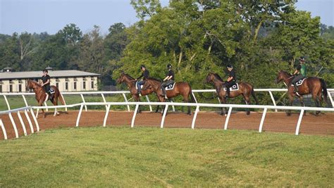 Visit Horse Country Blackwood Stables Finds Perfect Industry Niche