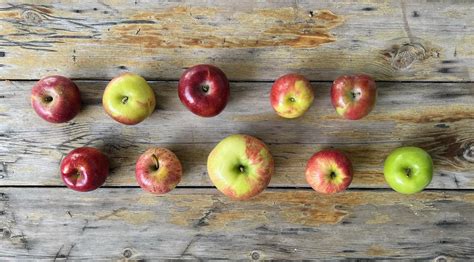 Identifying Apple Trees 🍎 🔍 A Guide To Distinguishing Among Varieties
