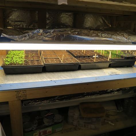 Here is how to put together a grow light shelf using easy to find items The Rusted Vegetable Garden