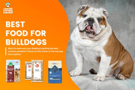 Best Dog Food For English Bulldogs 2024 Adult Puppies Allergies Dry