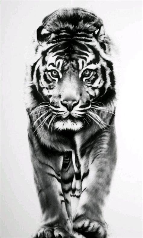 рукава Vk Tatuaje De Tigre Tatuaje De Tigres Diseño Del Tatuaje